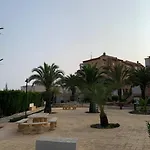 Under The Palm Trees 托雷维耶哈