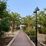 Under The Palm Trees * Торевьиа