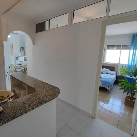 Apartment Under The Palm Trees Torrevieja