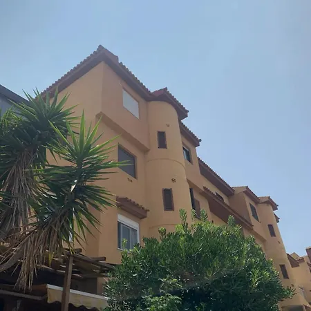 Under The Palm Trees Apartamento *