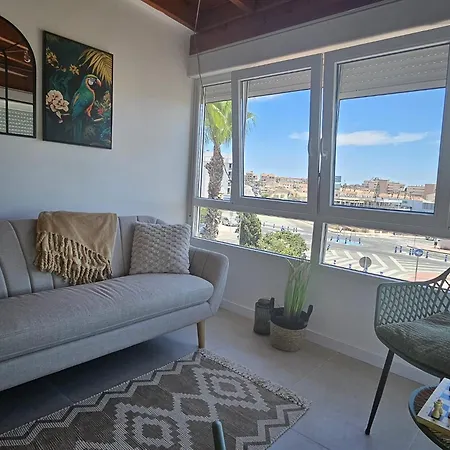 Under The Palm Trees * 托雷维耶哈