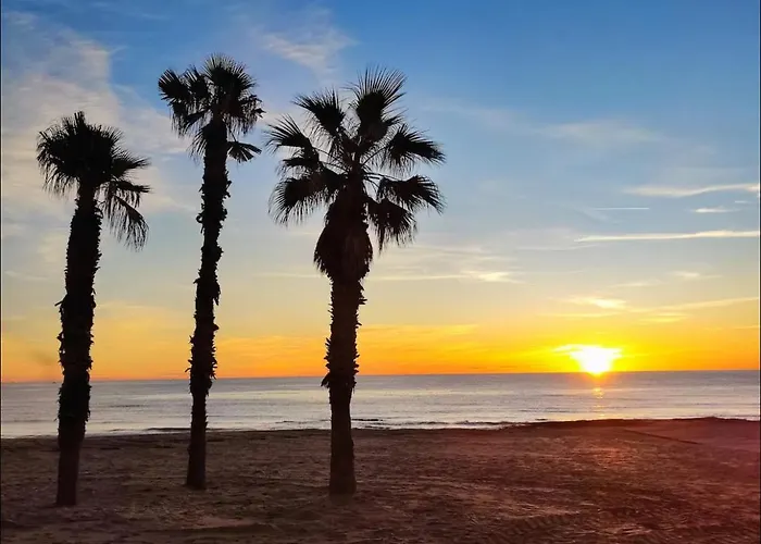 公寓 Under The Palm Trees