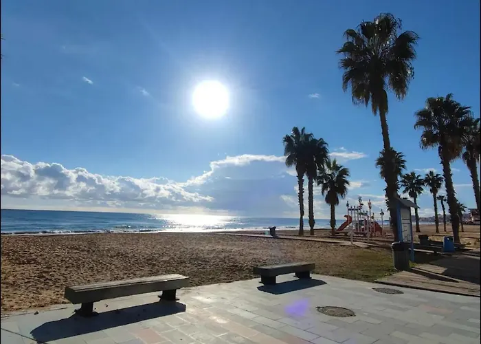 公寓 Under The Palm Trees *