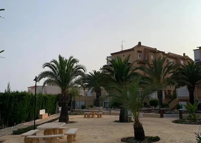 Under The Palm Trees 托雷维耶哈