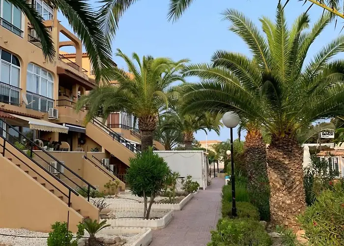 Under The Palm Trees