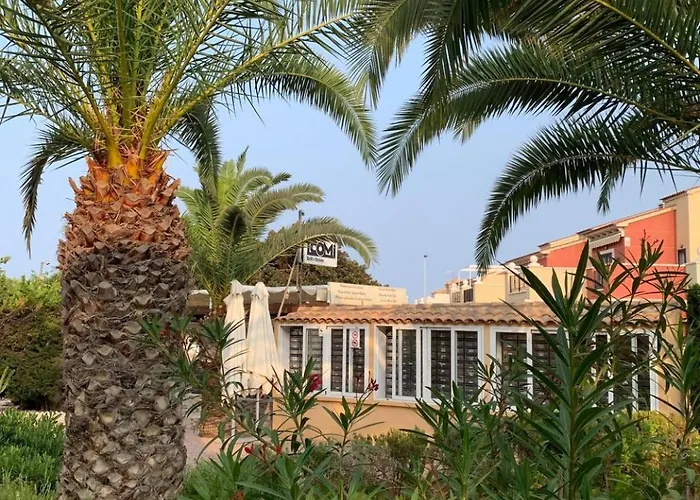 Under The Palm Trees 公寓