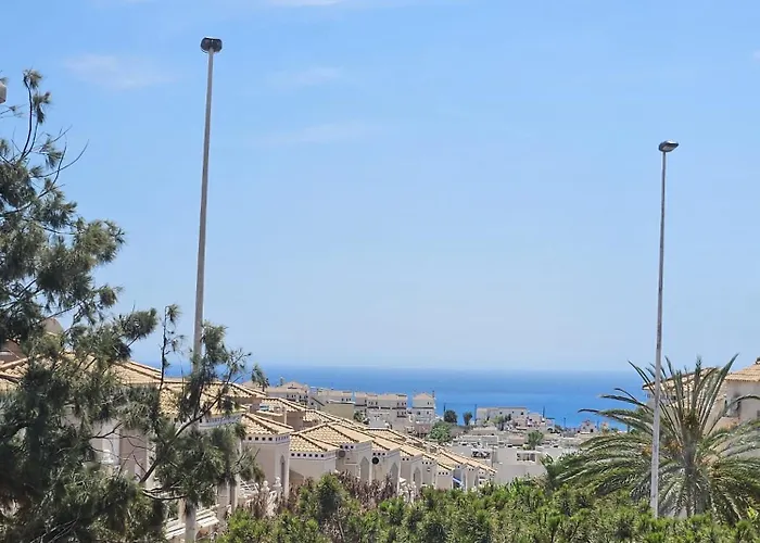 Under The Palm Trees * 托雷维耶哈