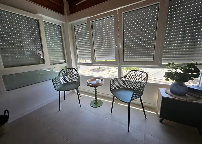 Under The Palm Trees 公寓 托雷维耶哈