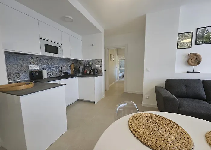 公寓 Under The Palm Trees 托雷维耶哈