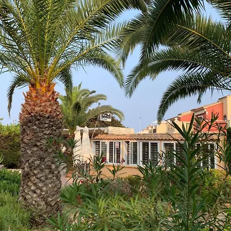 Under The Palm Trees Appartement